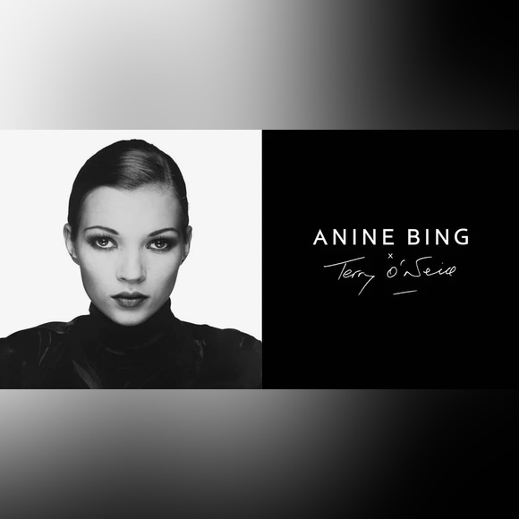 Anine Bing Kate Moss Crewneck size Small - Picture 3 of 4